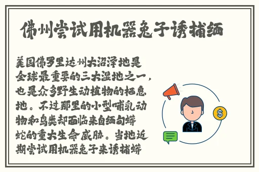 黑料不打烊2024在线